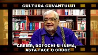 ANDREI PLEȘU  FLUVIUL DUNĂREA ESTE RASIST IZVORĂȘTE DIN PĂDUREA NEAGRĂ ȘI SE VARSĂ N MAREA NEAGRĂ [upl. by Suiratnod]