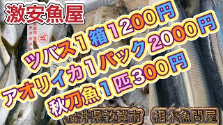 令和6年9月30日の激安魚屋 福井県敦賀市相木魚問屋 [upl. by Pavier141]