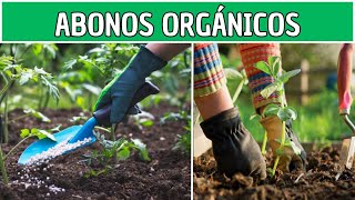 Los 5 MEJORES ABONOS ORGANICOS para plantas 💚  paso a paso  FERTILIZANTES ORGANICOS CASEROS [upl. by Haek49]