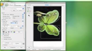 Scanning using the Epson Software [upl. by Erlandson45]