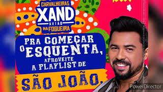 Xand Avião  Coração  Playlist de São João [upl. by Vladimir783]