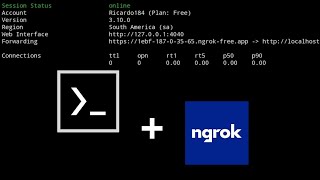 Termux Instale o Ngrok para Criar Seu Próprio Servidor Web termux ngrok [upl. by Doowle]