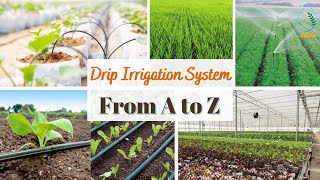 Drip Irrigation System Working Model 2024 [upl. by Adah]