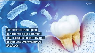 CXXC5 promotes cementogenesis protects against periodontitis by supporting mitochondria formation [upl. by Retsbew]