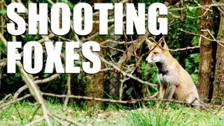 Fieldsports Britain  Shooting foxes [upl. by Quintina]