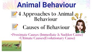 4 Approaches of Animal Behaviour Causes of Behaviour  Proximate Cause amp Ultimate Cause  Ethology [upl. by Shoshanna]