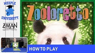 Zooloretto Board Game – How to Play amp Setup CONCISE easy to understand rules [upl. by Wiley434]