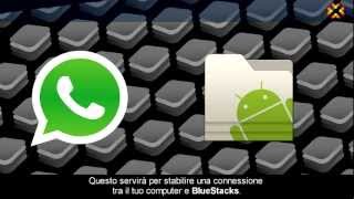 WhatsApp Inviare messaggi con le liste broadcast spiegato semplice Tutorial [upl. by Sheeran]