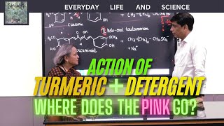 Chemistry In Daily Life  Turmeric Haldi  Detergent  Where does the pink go [upl. by Ealasaid]