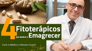 4 Fitoterápicos que ajudam a Emagrecer  Dr Dayan Siebra [upl. by Hoeg]