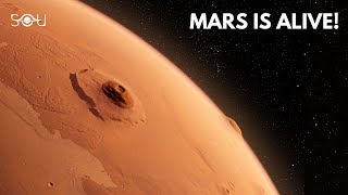 Latest NASA Data Show Something Weird is Happening Inside Mars [upl. by Faythe261]