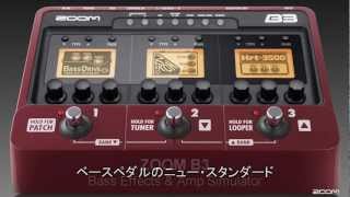 B3 Bass Effects amp Amp Simulator [upl. by Llenra899]