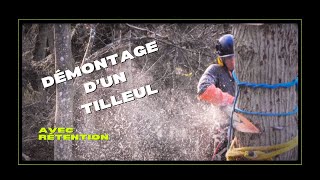 Élagage  Démontage dun Tilleul avec rétention [upl. by Arrakat]