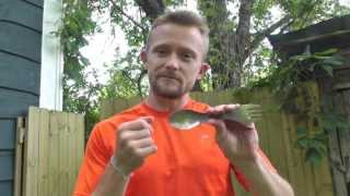 Light My Fire Titanium Spork Review  The Outdoor Gear Review [upl. by Eirtemed]