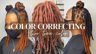 HOW TO COLOR LOCS ADORE GINGER  SUNRISE ORANGE VELET BLACK  COLOR CORRECTION TUTORIAL ON LOCS [upl. by Kcirdderf]