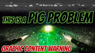 Farmer Has A Feral Pig Problem  Pest Control Shooting In Australia  ATV Thermal amp 308w Hunting [upl. by Imij]