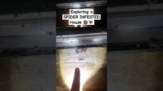 We found an Abandoned Farm House 🏚️🕷️ abandoned spider scary urbex exploring urban shorts [upl. by Chadd]