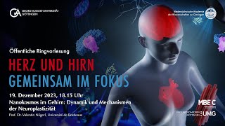 Nanokosmos im Gehirn Dynamik und Mechanismen der Neuroplastizität I Prof Dr Valentin Nägerl [upl. by Trust68]