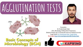 Agglutination tests I Immunology I Hemagglutination tests I Hemagglutination Inhibition tests I [upl. by Zumstein]