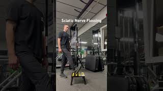 Sciatic Nerve Flossing Courtside￼ [upl. by Ahsar]