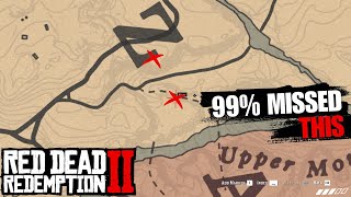 Missed These Two Powerful Weapons  Red Dead Redemption 2 [upl. by Odnomor]