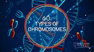 Genetics in 60 seconds Types of Chromosomes [upl. by Atekihs]