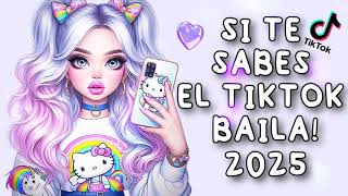 SI TE SABES EL TIKTOK BAILA  2024 [upl. by Lamdin629]