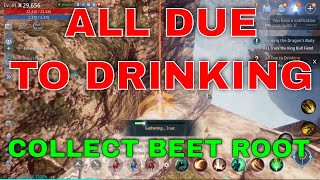 Mir4 Request Quest Clue All Due to Drinking Collect Beet Root Bicheon Castle Taphouse [upl. by Waers346]