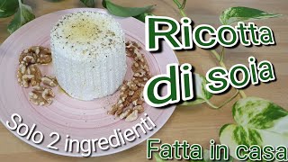 Ricotta di soia vegana fatta in casa con due ingredienti Ricetta di formaggio vegetale facile [upl. by Airamanna]