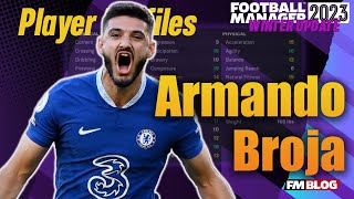 Armando Broja  Player Profiles 10 Years In  FM23 [upl. by Reckford282]