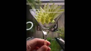 Green Apple Fan Garnish for cocktail 🍹🍸aayinai stree2 shorts viralvideo cocktail garnish [upl. by Aleakam935]