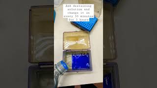 Destaining Coomassie blue stained SDS PAGE gel [upl. by Esteban81]