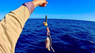 THIS BAIT CATCHES FISH trout and nannygai fishing off Yeppoon [upl. by Raf]