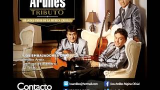 Los Ardiles  Tributo a los Grandes Tríos de la Música Criolla Audio Oficial [upl. by Kriss]