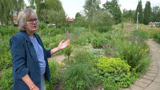 Green Deal Hattem buurtmoestuin en voedselbos [upl. by Notnef]