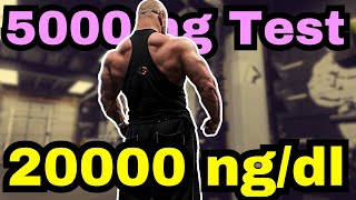 The Road to 20000 ngdl and 5g of Testosterone  Next Cycle Outline [upl. by Caves]