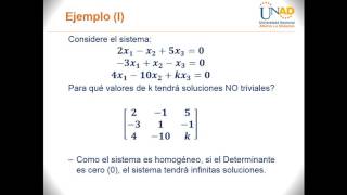 Homogeneous Systems of Linear Equations  Trivial and Nontrivial Solutions Part 2 [upl. by Eehtomit673]