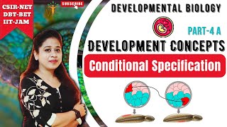 Conditional Specification 1  Basics of Developmental Biology  Developmental Biology CSIR NET [upl. by Stanwinn]