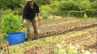 Jardin du MaraisYves Gillen jardinage sans travail du sol Sous titre en Français [upl. by Yrek]