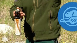 How to Use Bear Spray  Banff National Park [upl. by Vannie]