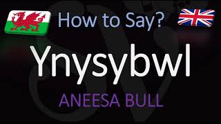 How to Pronounce Ynysybwl CORRECTLY Welsh Village Pronunciation [upl. by Toland940]