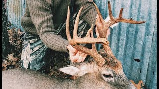 Arkansas Whitetail Hunting  Big Buck Kill with 65 Grendel AR15 [upl. by Babcock]