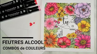 Tutoriel Carterie  Utilisation Feutres Alcool ACTION Combos de couleur TWINMARKER ACTION [upl. by Ydderf101]