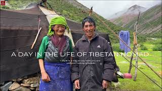 Daily Life of a Tibetan Nomad Family Living in Altitude of 4800 Meters How is Their Daily Life [upl. by Inail]