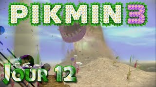 Lets Play FR HD Pikmin 3  Jour 12 [upl. by Manly]