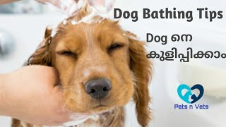 How to bath a dog malayalamDog groomingPuppy bathing tips malayalam [upl. by Aivyls]