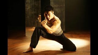 The Top 20 Martial Art Fight Scenes Part 1 [upl. by Wallraff]