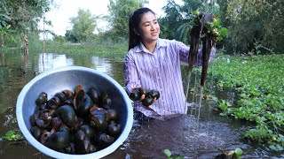 It has a lot of snail in my village lake I catch them for cooking  Cooking with Sreypov [upl. by Grantland]