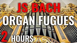 🎵 20 ORGAN FUGUES by JS BACH  18 Organs amp 11 Organists Bach Organ Music [upl. by Ennoryt]