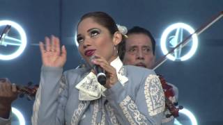 mariachi los caporales  el macho panzon telever 2092015 [upl. by Enaht]